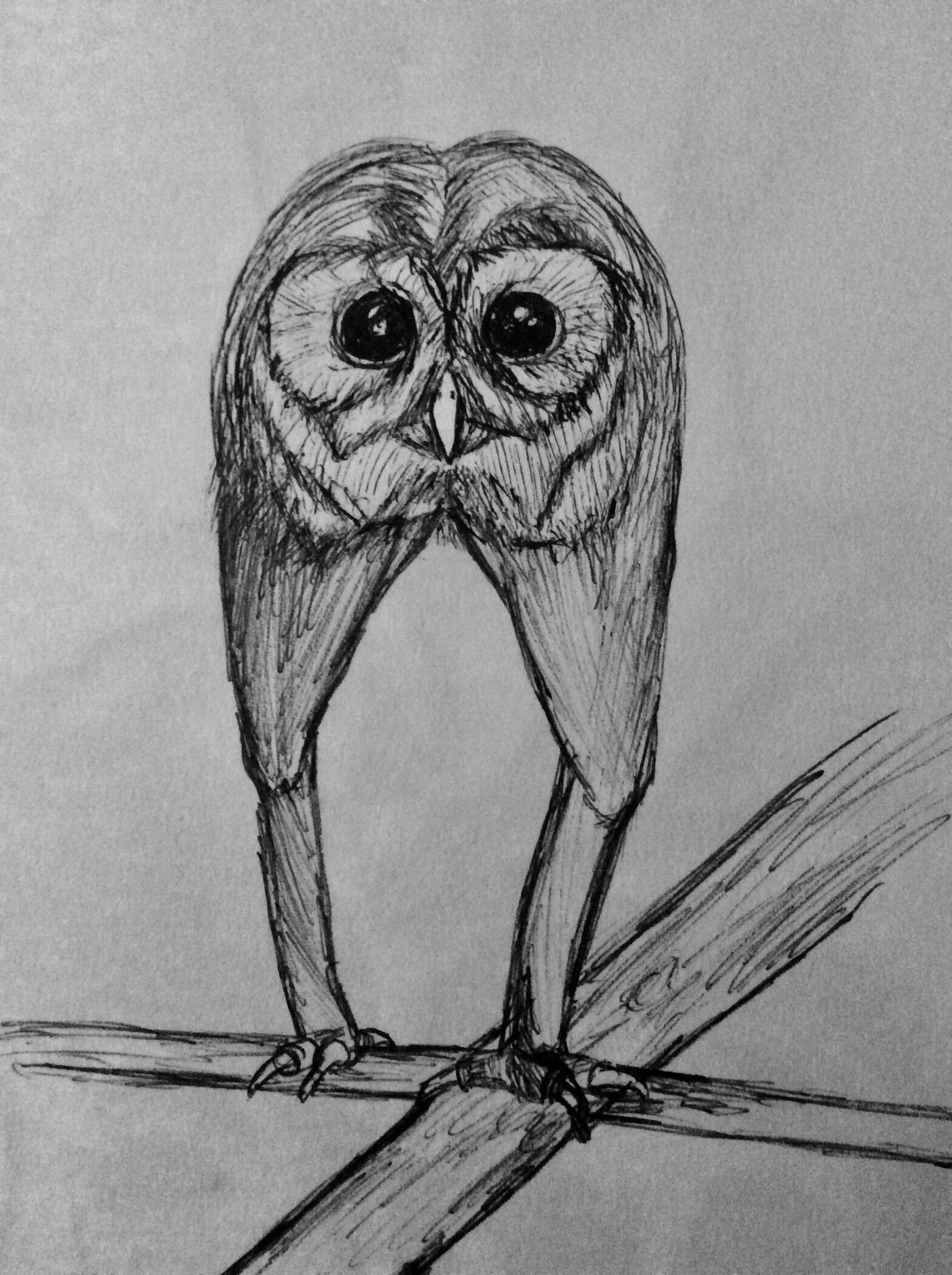 Barry The Land Owl, 20??
