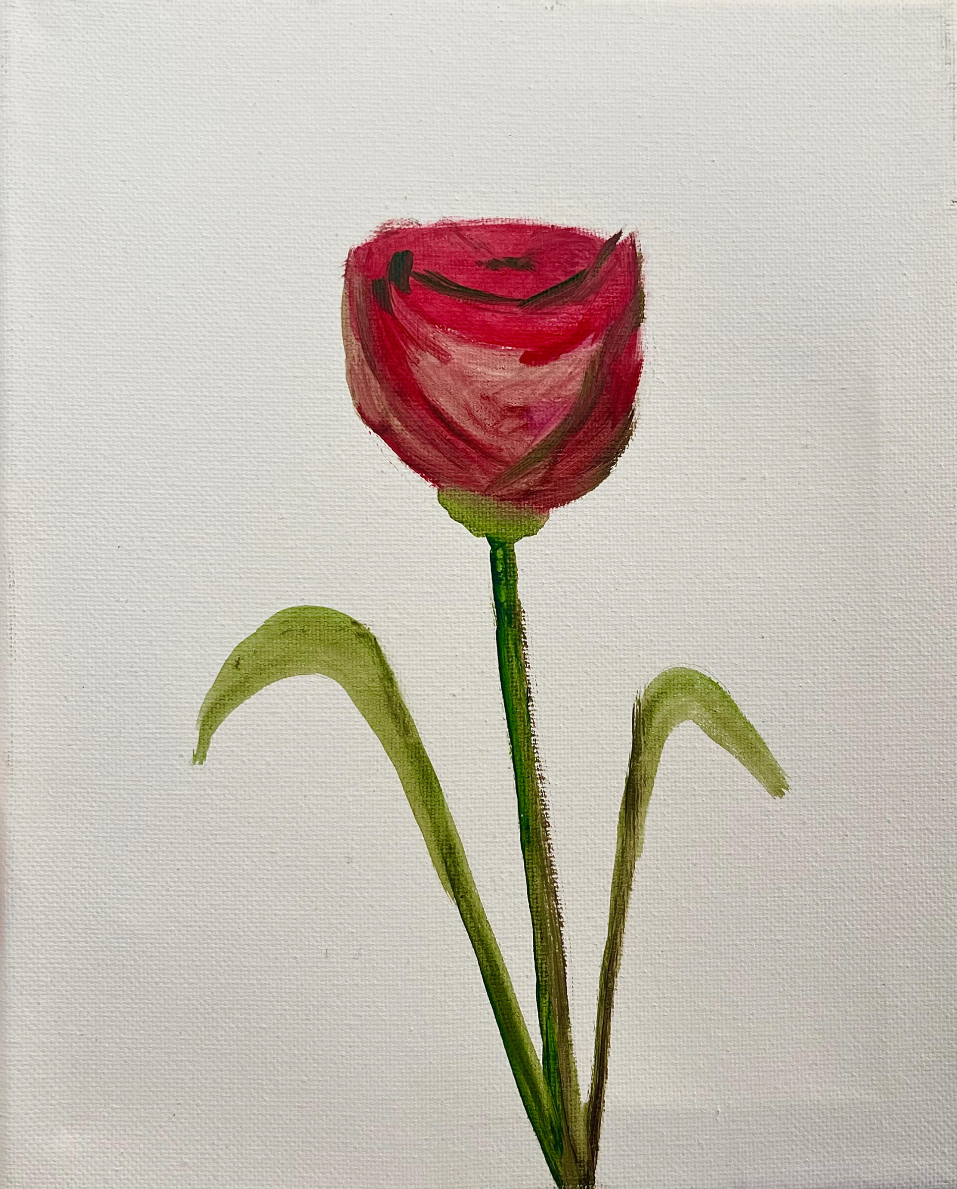 A Rose, 2023