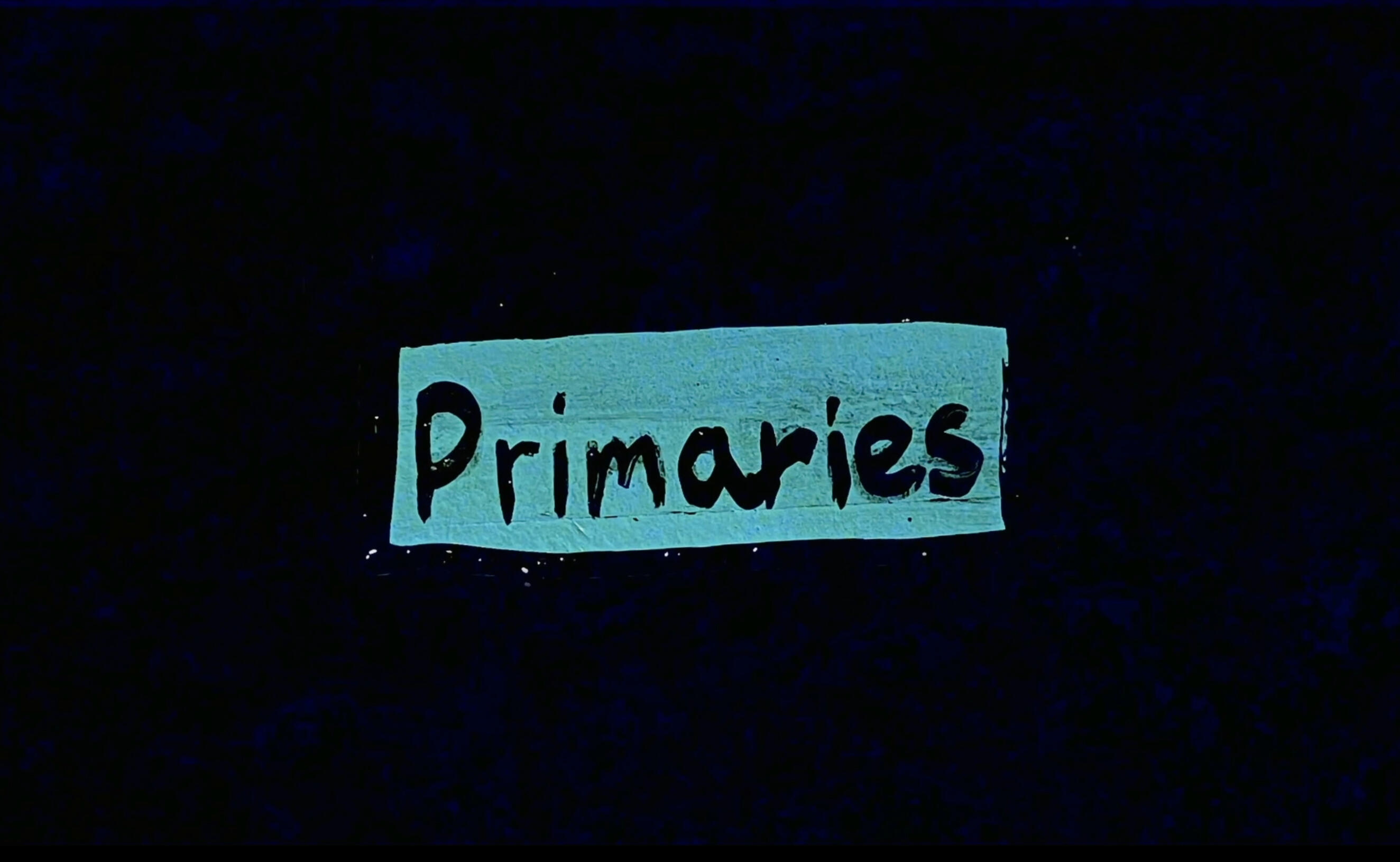 Primaries, 2026